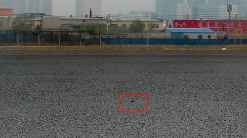 白天 发现 的 FOD4