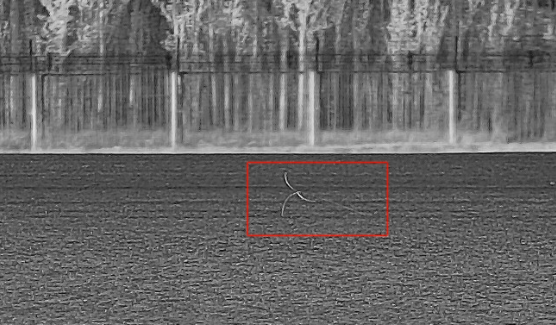 夜晚 发现 的 FOD1